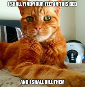 11813352_10153040243498317_6029110762201524921_n