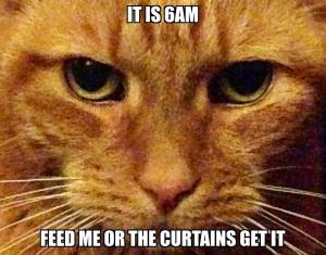 11822449_10153054357888317_1732278576487273471_n