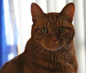 541097_10151079464248317_1147894145_n