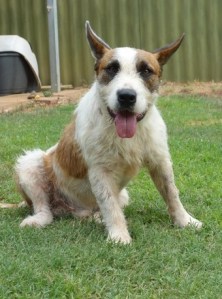 209678_b0dce_340x340