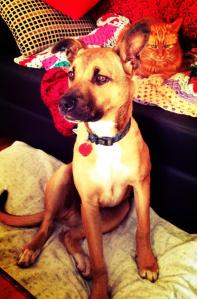 999673_10151484531758317_267512270_n