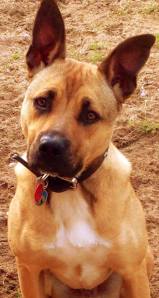 1377553_10151670390103317_1634360247_n