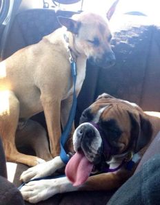 10009323_604817362939647_1738074733_n