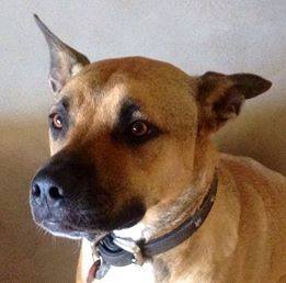 1534290_608138019274248_1581010844_n