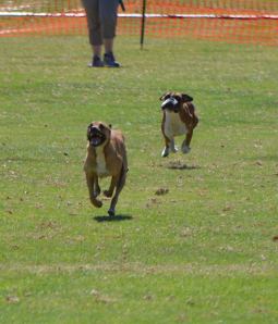 1536514_10152385412282652_1050285127_n