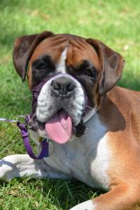 1536547_10152378867352652_533518134_n