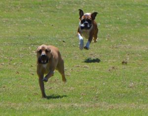 1688057_10152385410912652_1298145600_n