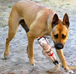 1958211_597413007013416_1230134635_n