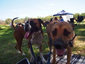 1974392_10151937673462136_983204_o