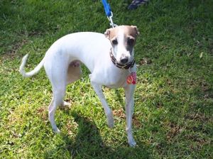 10268500_638770302877686_6189505151142907765_n