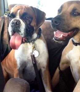 10291250_10152109257718317_6496861358763547970_n