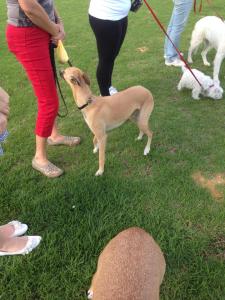 10295765_10152109256063317_4240338976105511093_n