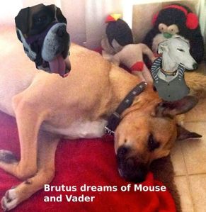 10313693_638201819601201_8863388431303389228_n