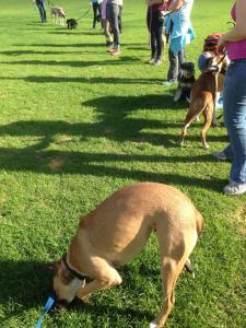 1380257_10152109261853317_7026929957206179547_n