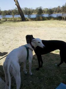 1010137_672323259477920_1536721379_n