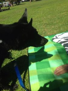 10173820_10152155021473317_1760877696382375835_n