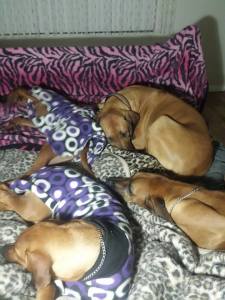 10329073_10152547192217652_1520814629193601356_n