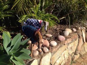 10390092_678191925585556_452479396045729615_n