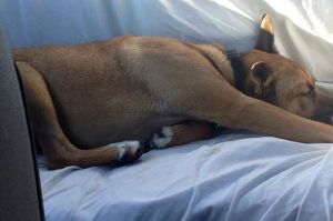 10403015_654172228004160_2462678689432779743_n