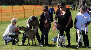 10468372_10204214772839625_4593949629770017694_n