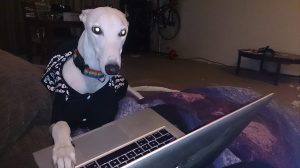 10501703_718650281511884_4420443276249970110_n