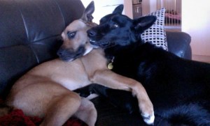 Photo on 2014-06-22 at 16.26