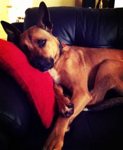 10259254_10152248642553317_6104689788961268852_o