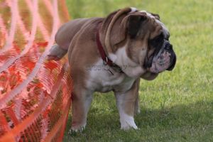 10314731_1507399359489212_2620425477991190388_n