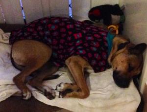 10348374_10152196231108317_1513285629363357943_n