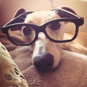 10351729_10154476281985206_3291143147023844551_n