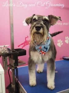 10352827_10152176710677136_7274661883758195746_n