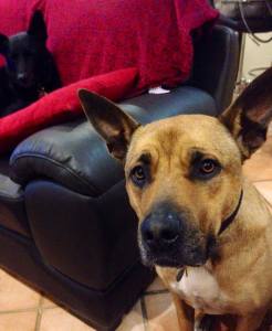 10426701_671147892973260_9064432844046885149_n