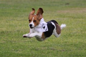 10428510_1507358209493327_6726719958960631723_n