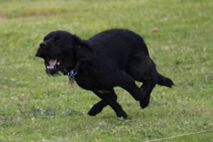 10452343_10152245341273037_4578178218962868170_n