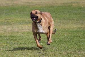 10514484_663023367119046_5440793577039023180_n