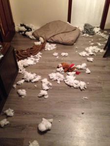 10514522_10152186304662136_6488962395323364990_n