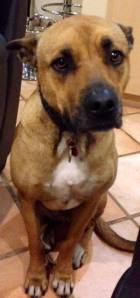 10525871_671147862973263_2402178646121030253_n