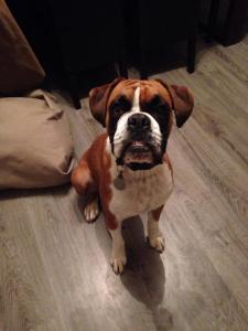 10550853_10152186304452136_6222390575730837449_n