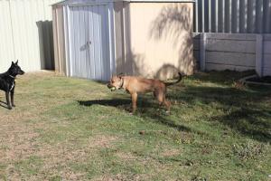 1392014_634659023288814_1314752171822639638_n