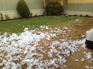 1970437_595493903871993_868675514_n