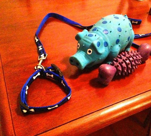 549216_489448227786320_1397826679_n