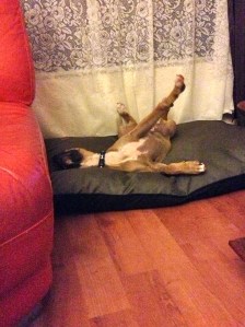 553172_10151367618848317_2023268886_n