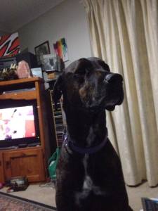 Barney the Supervisor