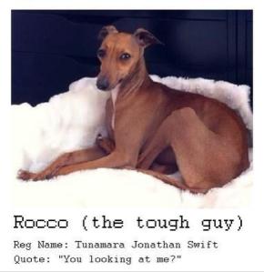 10521058_710577299013685_7164224268040631365_n