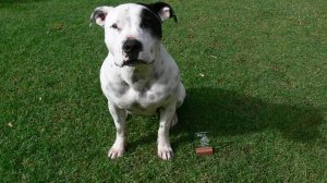 10527793_10204208507160793_4253338970763154421_n