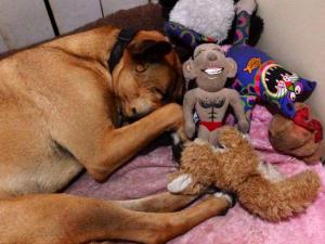 10557318_10152286936003317_3056136339060035171_n