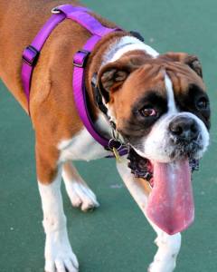 10577070_10152272532608317_899915858575841282_n