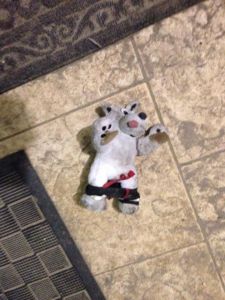 10606318_684483248306391_3219564786319427487_n