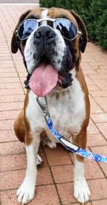 10496924_687941054627277_1634787307464121344_o