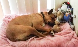 10511116_10152289949003317_8214788748386679760_n